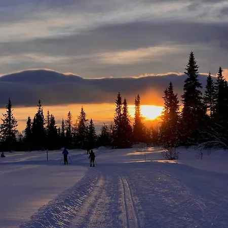 Steinstolen By Norgesbooking - With A Lovery View * Hol (Buskerud)