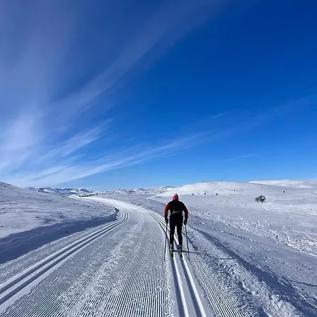 Vakantiehuis Steinstolen By Norgesbooking - With A Lovery View Hol (Buskerud)