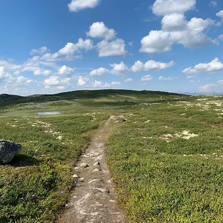 Vakantiehuis Steinstolen By Norgesbooking - With A Lovery View Hol (Buskerud)
