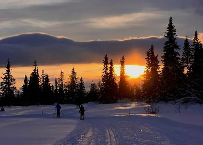 Steinstolen By Norgesbooking - With A Lovery View * Hol (Buskerud)