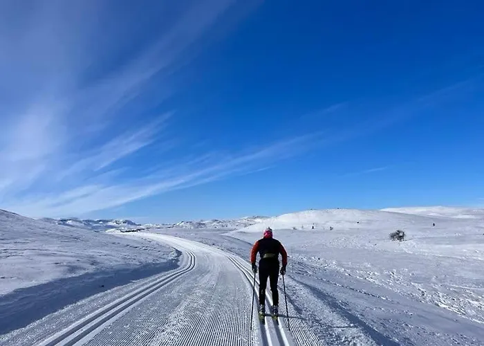 Casa de Férias Steinstolen By Norgesbooking - With A Lovery View Hol (Buskerud)