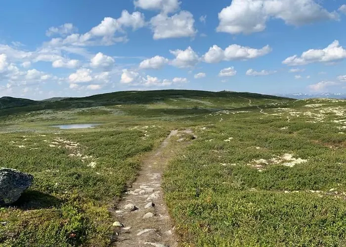Holiday home Steinstolen By Norgesbooking - With A Lovery View Hol (Buskerud)