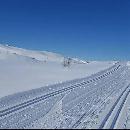 Steinstolen By Norgesbooking - With A Lovery View Feriehus *