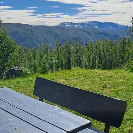 Steinstolen By Norgesbooking - With A Lovery View Feriehus Hol (Buskerud)